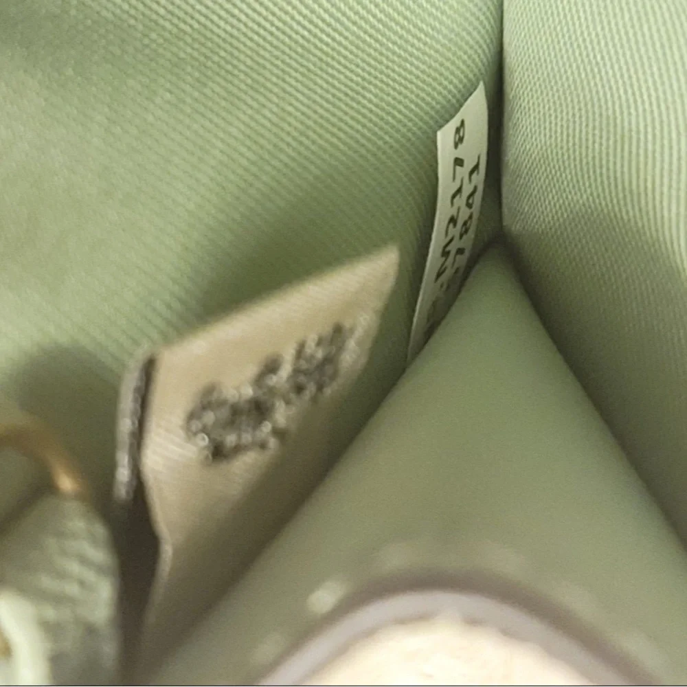 Coach Light Green Mini Skinny Id /keychain/ Card Case
